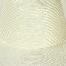 Load image into Gallery viewer, Gemini Fedora - Straw