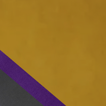 Load image into Gallery viewer, Game Day Bow Fedora